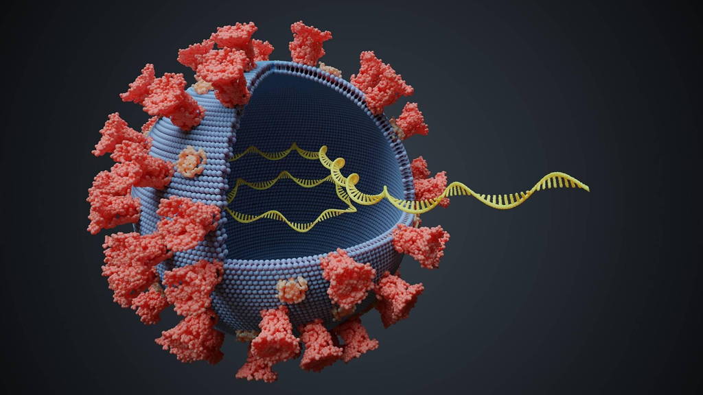 Virus-RNA
