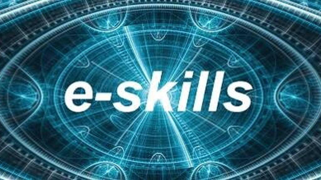 e-skills