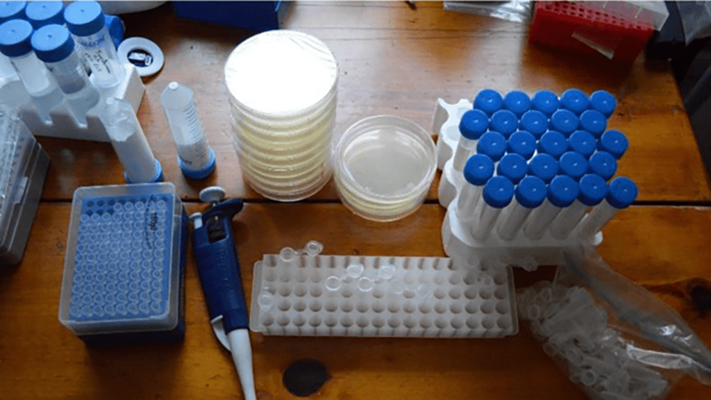 home-crispr-genome-editing-kit-4