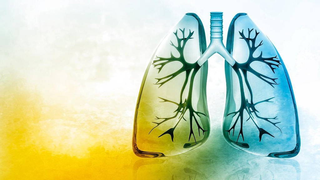 COPD-longen