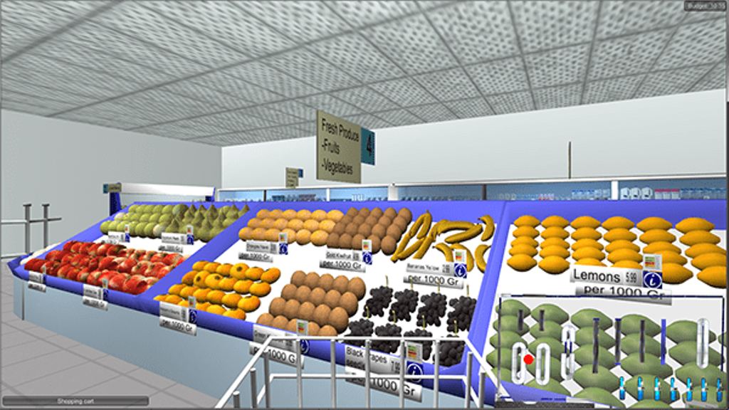 virtuele-supermarkt-3-voor-web