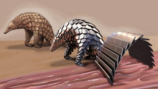 Scale-covered, pangolin-inspired robot to work inside the body