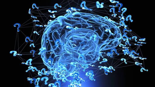 Atlas embryonale brein geeft inzicht in werking van hersenen