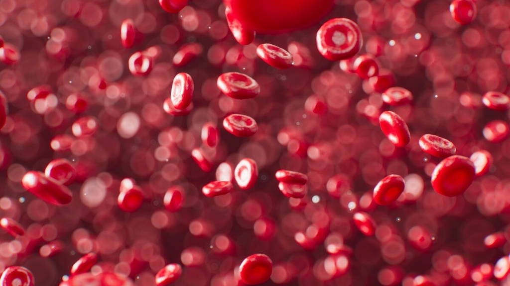 Bloedcellen