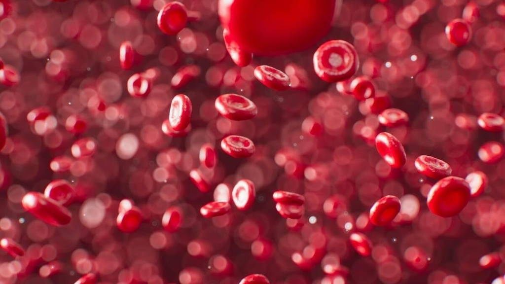 Bloedcellen