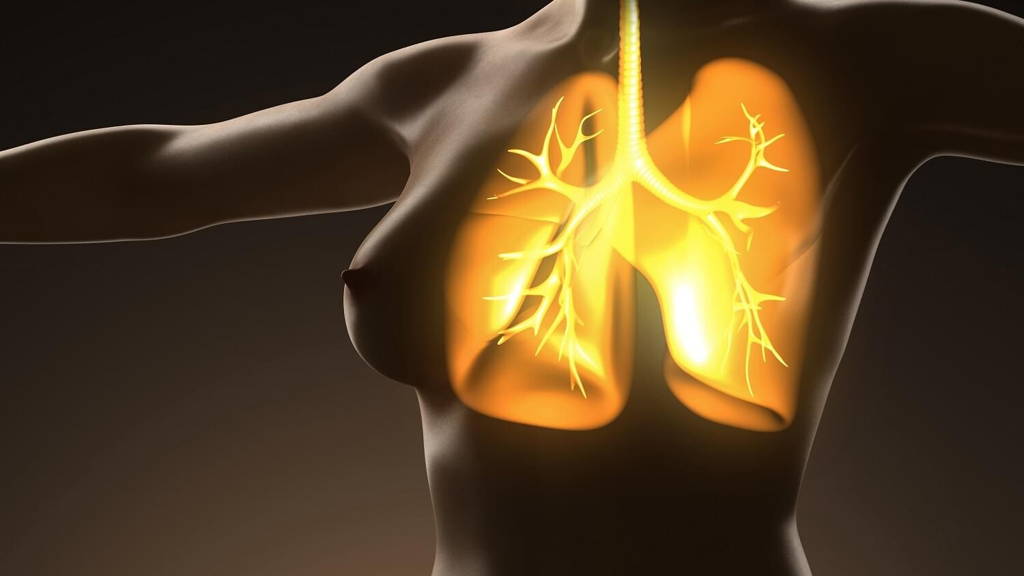 science anatomy of human body with glow lungs