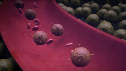 Nieuwe technologie spoort op grote schaal T-cellen op